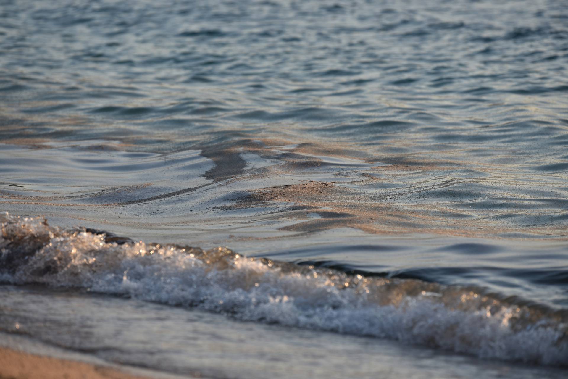 Mušice preplavile more na plaži Donja Luka u Makarskoj