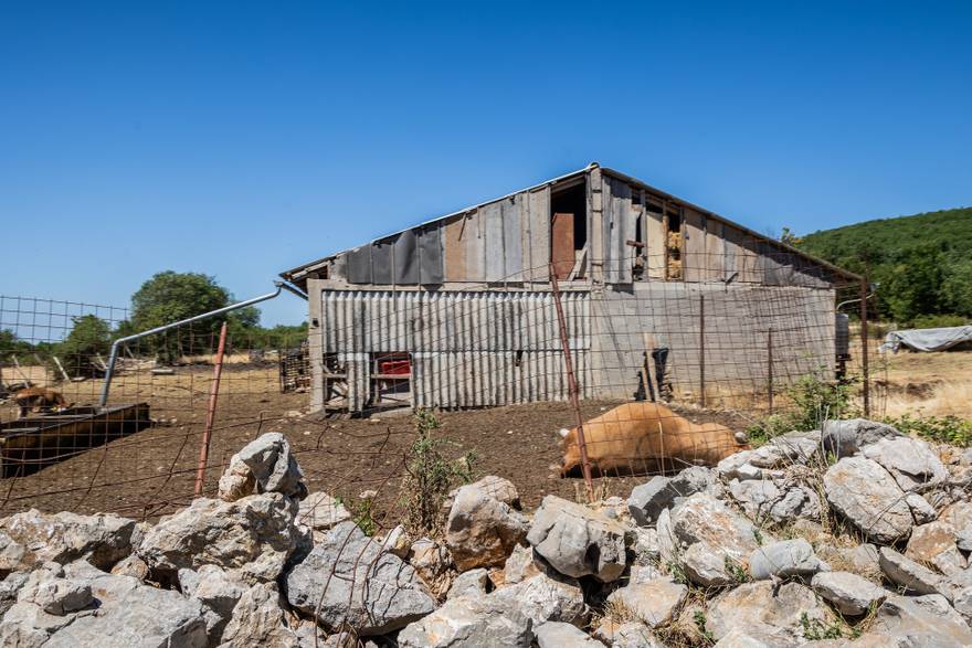 Gornje Maovice: Mjesto gdje je potvrđen slučaj bedrenice