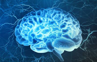 Mozak modernog čovjeka razvio se kasnije nego što se misli?