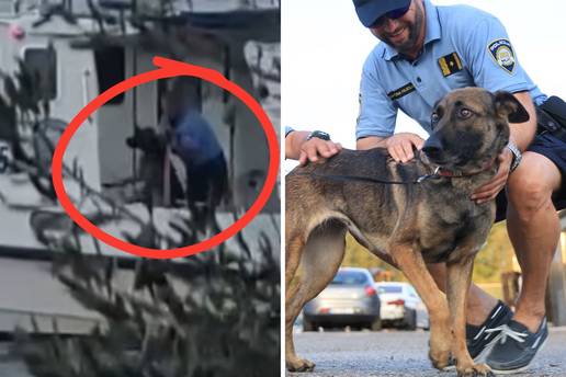Ovo je pas kojeg je policajac bacio s broda u more. Zadarska policija na&scaron;la mu je novi dom