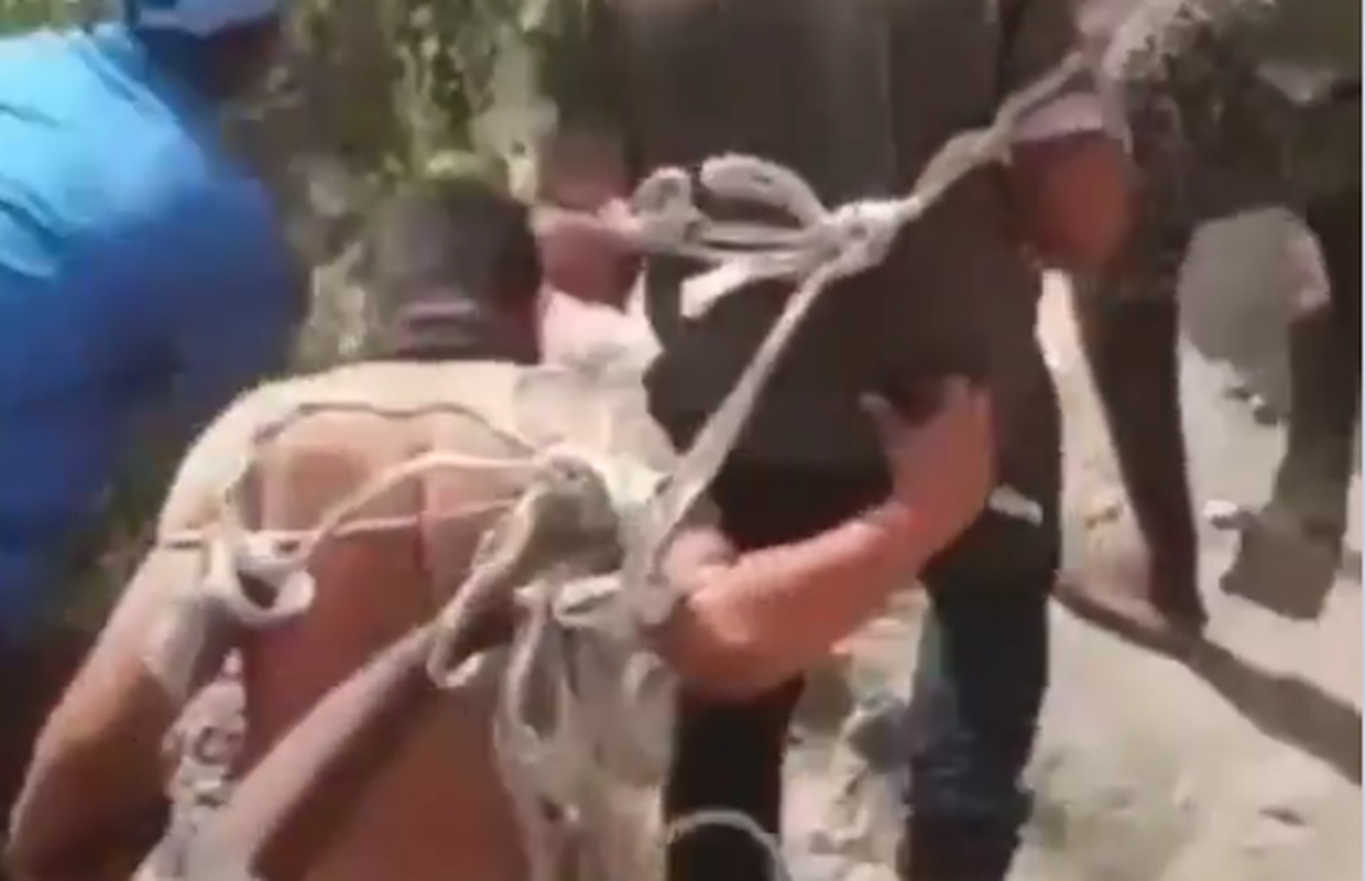 Uznemirujuće snimke: Narod uhvatio ubojice predsjednika Haitija, vezane ih vukli gradom