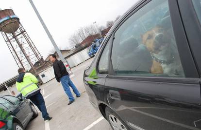 "Pauk" odvezao auto iako je u njemu bio pas vlasnika