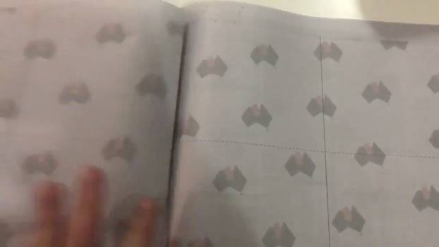 Pages of the Australian newspaper NT News are flipped to show pages with liftout and cut lines in their "toilet paper" edition in Darwin, Australia in this still image from video