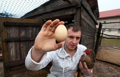 Kokoš im je snijela tri puta veće jaje od običnog