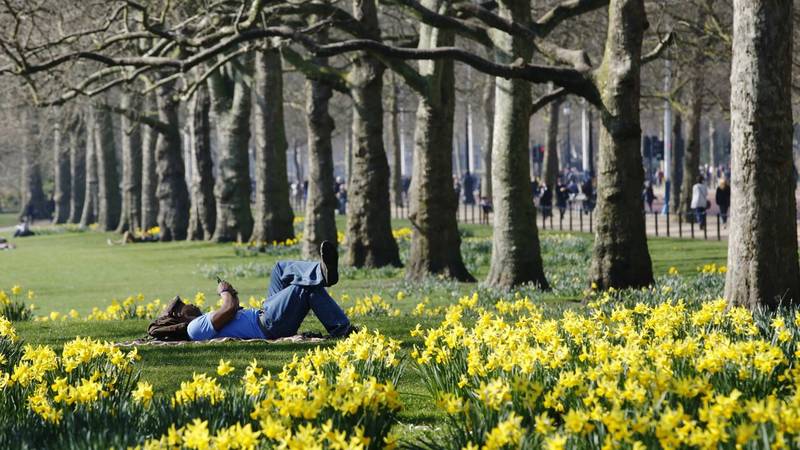 FOTO Ovo je deset najzelenijih gradova na svijetu, a čak sedam ih se nalazi u Europi