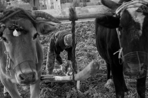 FOTO 'Roditeljima uopće nisam rekao da ću spavati  po pustinjama  u Afganistanu'