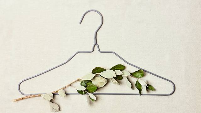 Iron,Hanger,With,Sprig,Of,The,Tree,With,Leaves,On