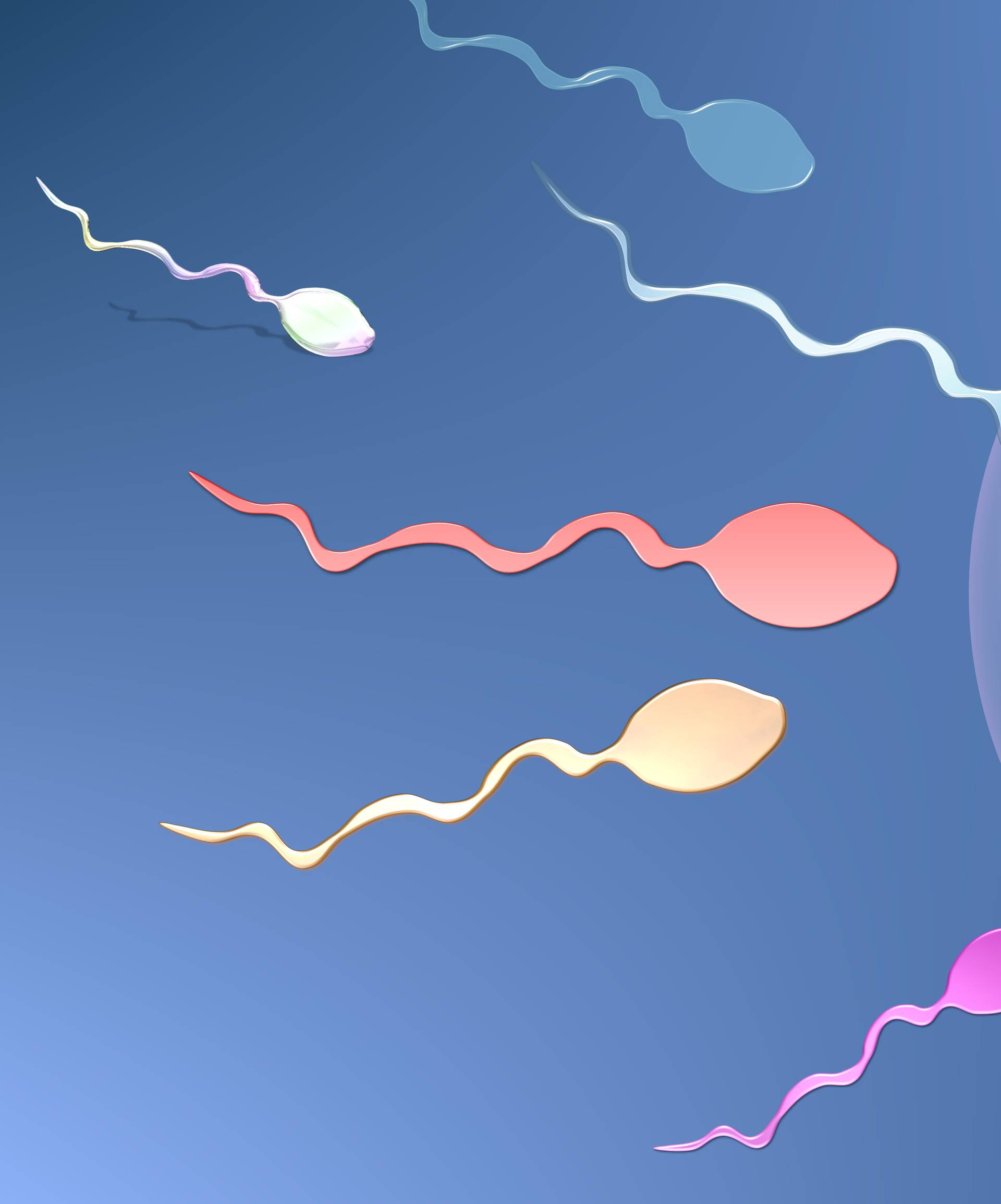 Broj spermija kod muškaraca pada, još nitko ne zna zašto