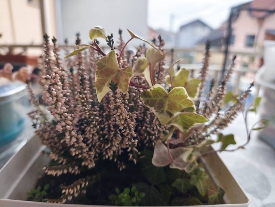 Isprobali smo Redmi Note 14 Pro i Pro Plus. Ovi blizanci iz Xiaomija kriju bitne razlike