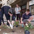 Građani se odazvali pozivu i s Majom Sever posadili cvijeće