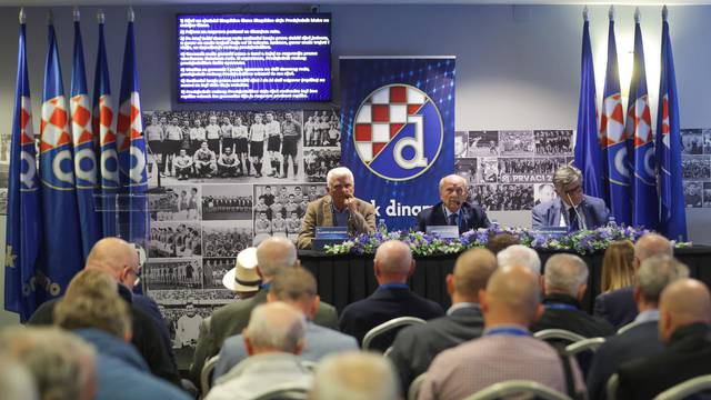 Zagreb: Dinamo izabrao Izvršni i Nadzorni odbor