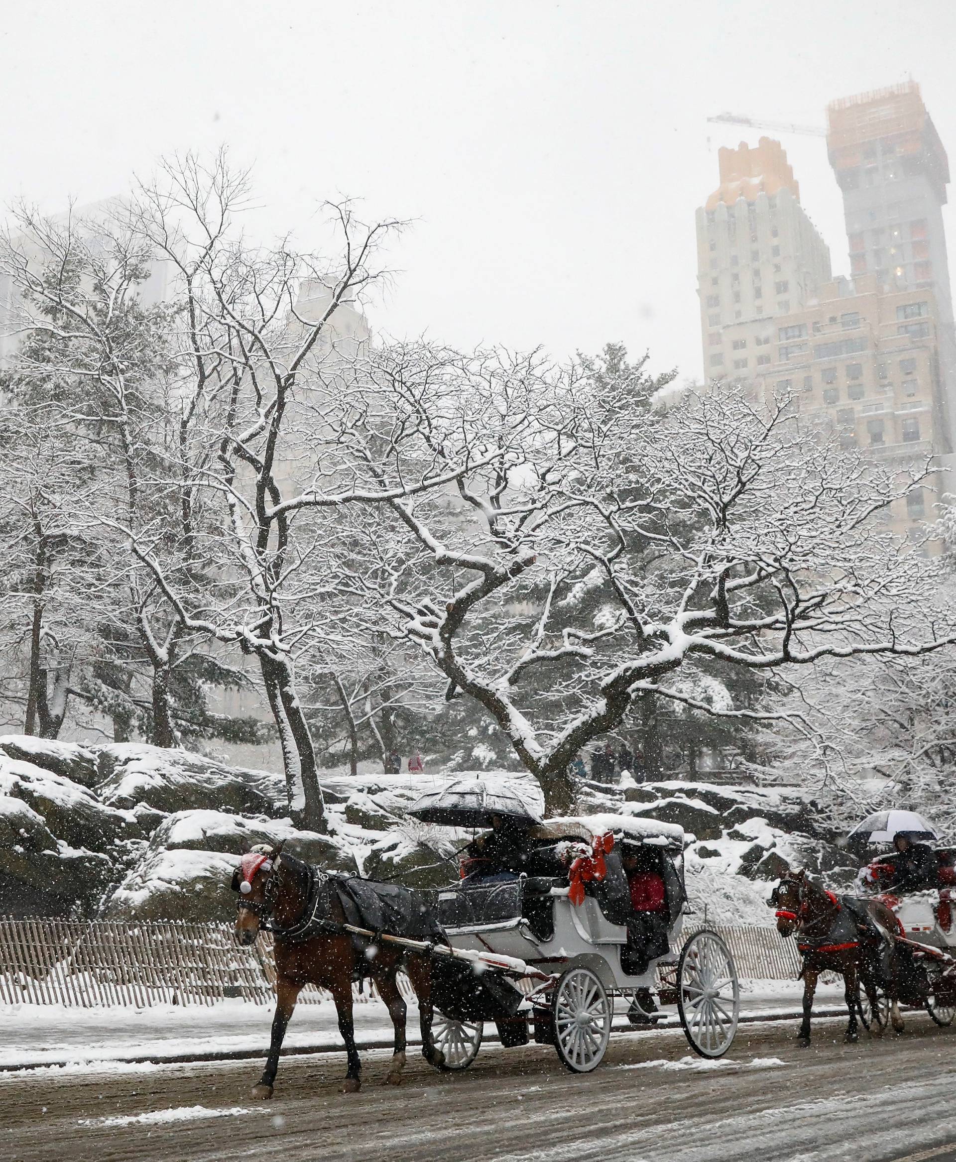 Horses pull carriages through Central Park as the snow falls during a pre-winter storm in New York