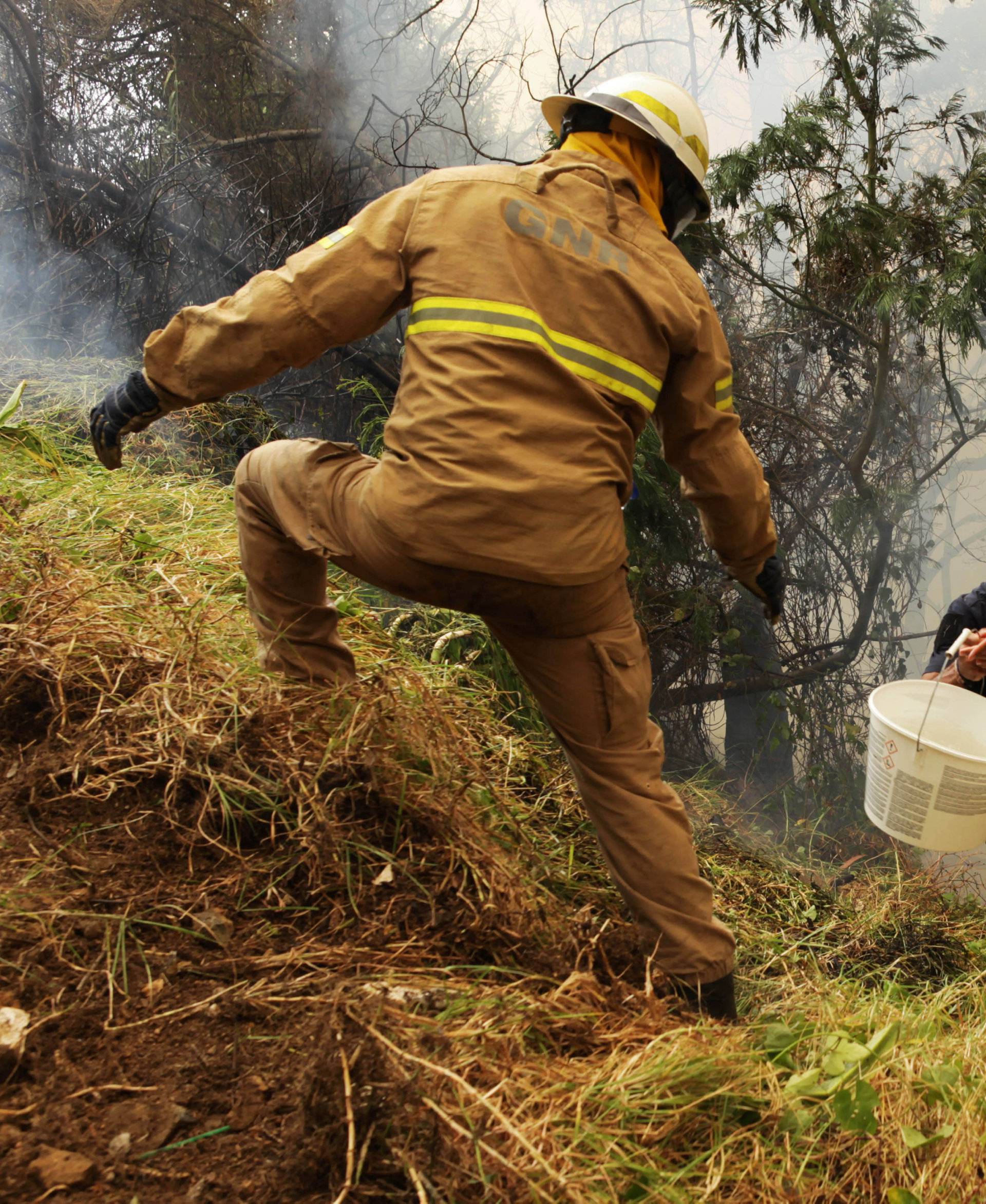 Police officers and firefighters try to extinguish a forest fire near houses at Sao Joao Latrao, Funchal, Madeira island