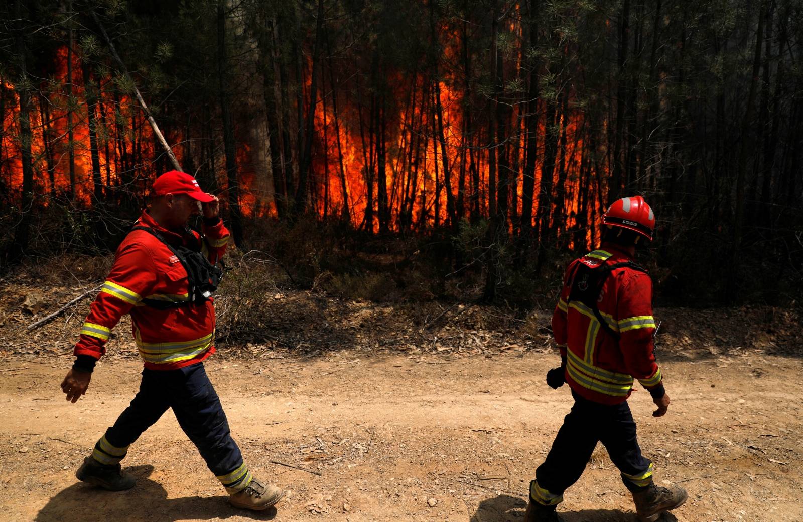 Firefighters pass near a forest fire near Macao