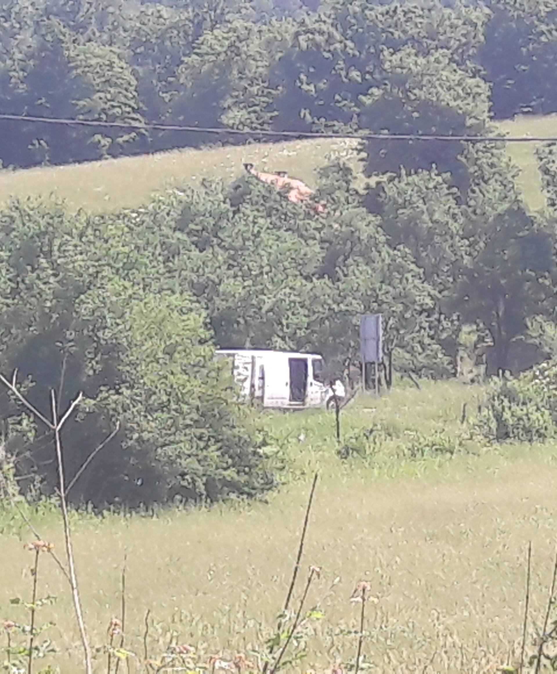 'Jurio je na policajce i pokušao ih pregaziti. Morali su pucati...'