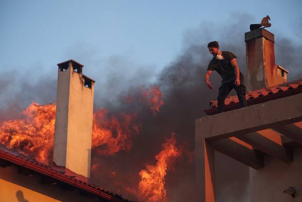 Wildfire in Kryoneri near Athens