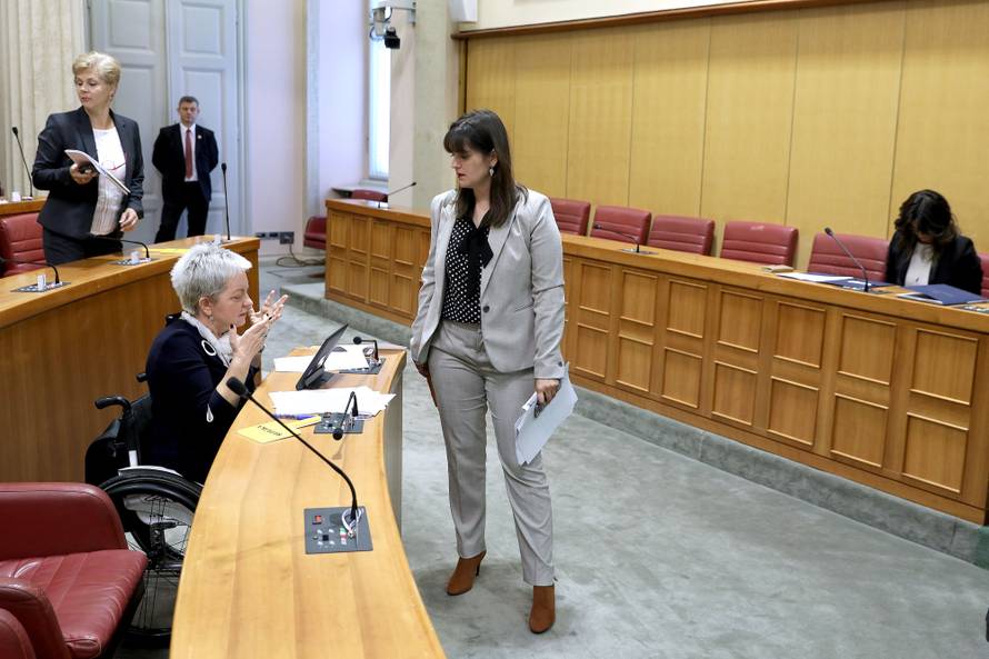 Zastupnice sa stilom: One su unijele boje i živost u Sabor