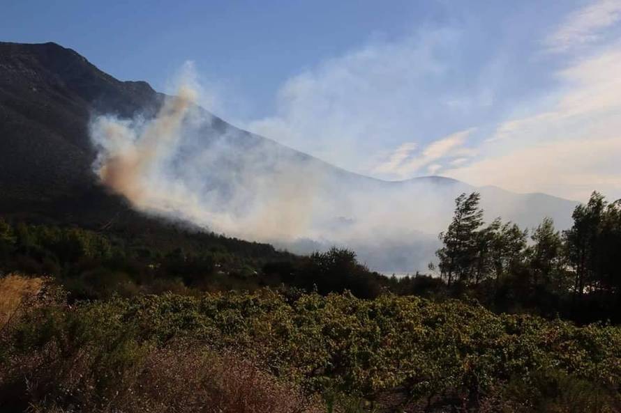 Pelješac još gori: Linija obrane od požara duga je tri kilometra