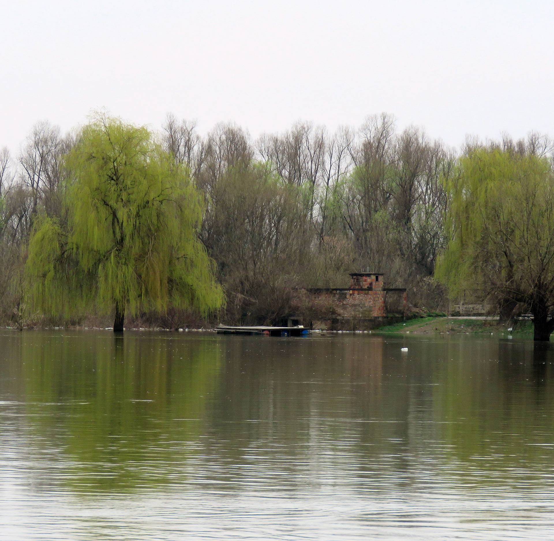 Vodostaj u stagnaciji: Sava još ne prijeti, ali ako kiša nastavi...