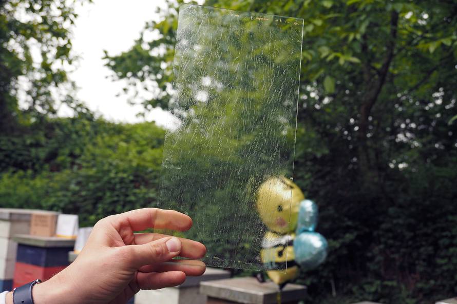 Od otrova mojih pčela radim kreme protiv bora i bolova