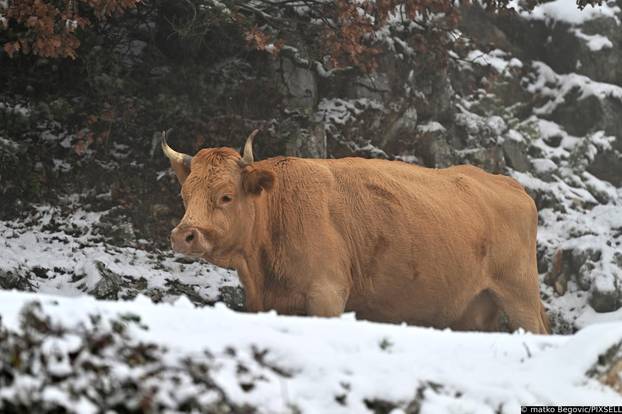 Na Biokovu pao novi snijeg