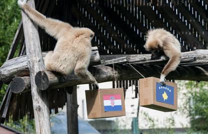 To, majmune! Gibon Kent tvrdi da će Hrvatska dobiti Kosovo...