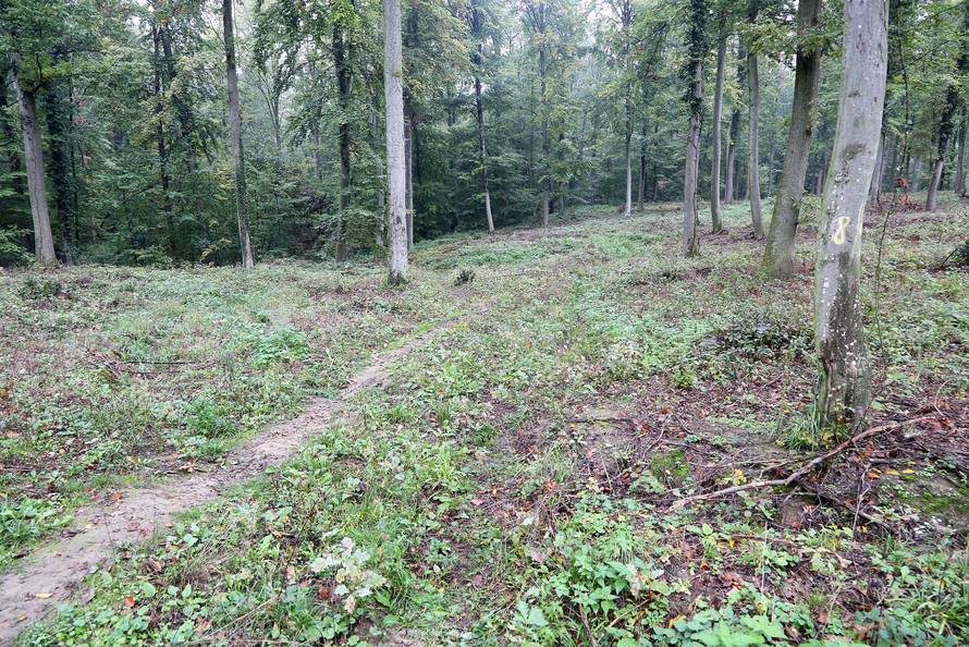 Shrvani otac:  Želio sam vidjeti gdje su mi poginuli žena i djeca