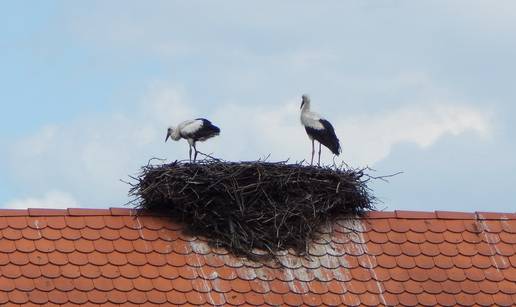 U &Ccaron;igo&ccaron;u su spasili rodu koja nije mogla poletjeti zbog &scaron;page