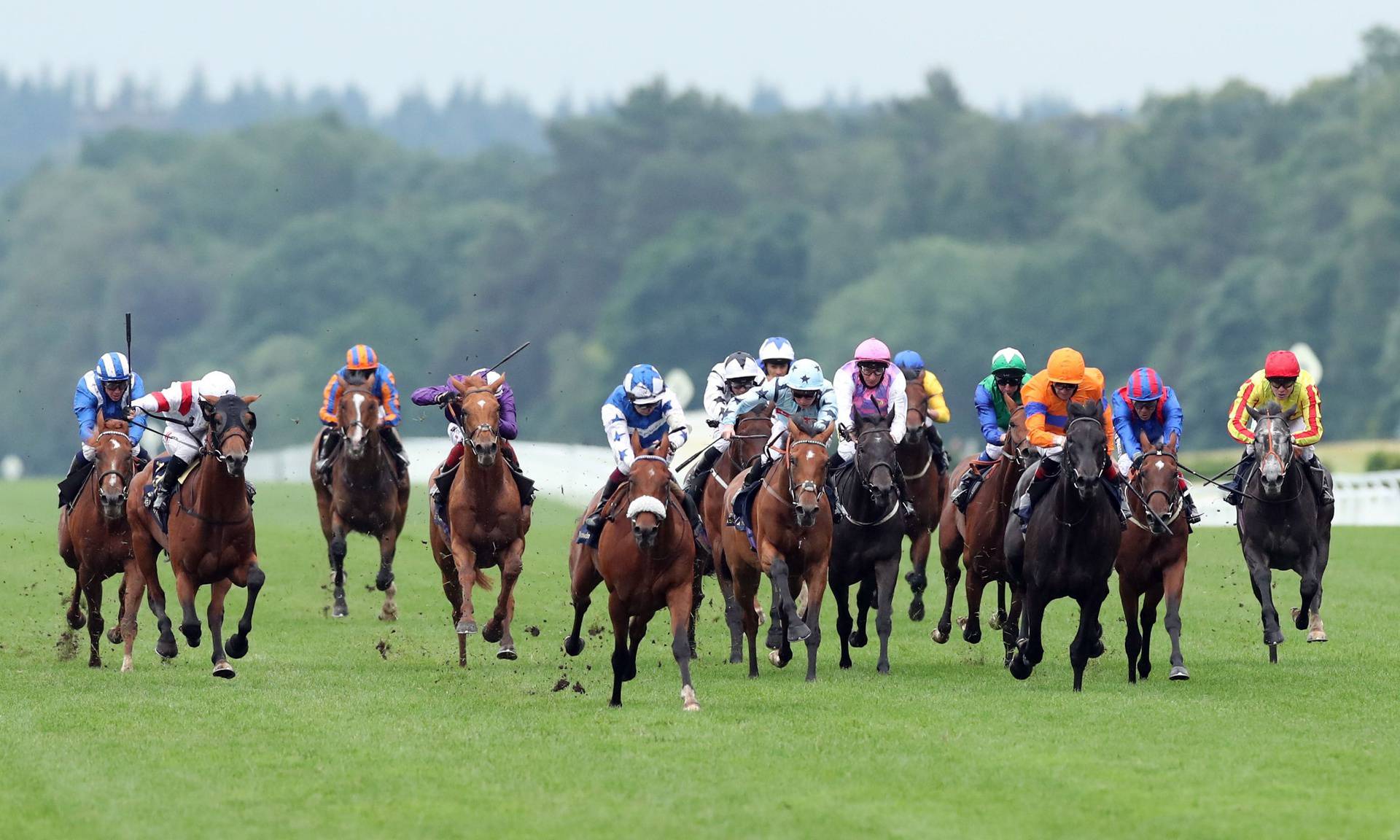 Kraljica Elizabeta  se vratila na  Royal Ascot:  'Ona ima tu magiju u sebi kakvu nema nitko drugi'