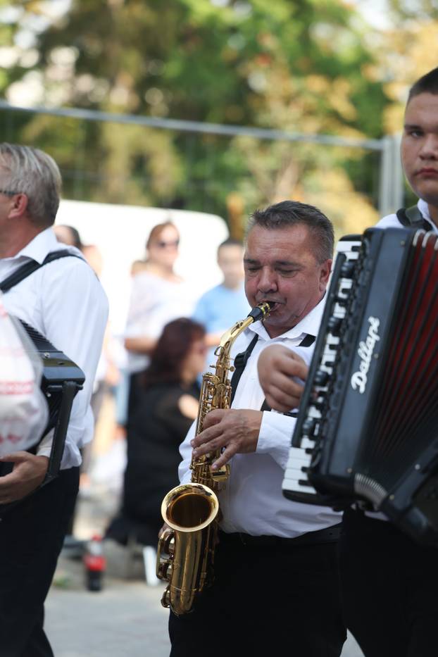 Vinkovci: Svečani mimohod sudionika 61. Vinkovačkih jeseni 