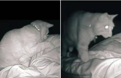 Svako se jutro budila umorna, a onda je na kameri otkrila da je mačka 'terorizira' pola noći