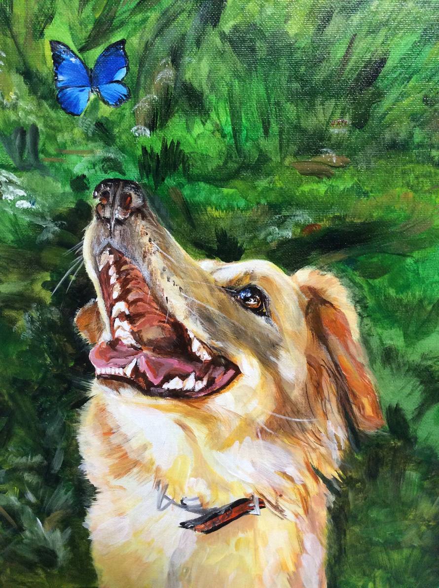 Talentirani dječak mijenja svoje slike da pomogne psima u azilu