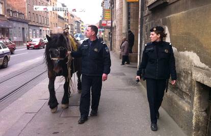 U Zagrebu policija uhitila i konja: Predao se nenaoružan 
