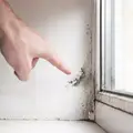 Kako je Livio iz Marčane uklonio vlagu i plijesan u svom domu i apartmanu