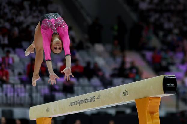 2025 World Artistic Gymnastics Championships