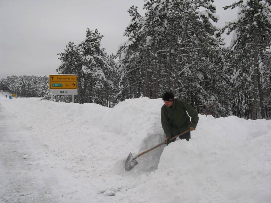 Vedrana Bekavac Šuvar