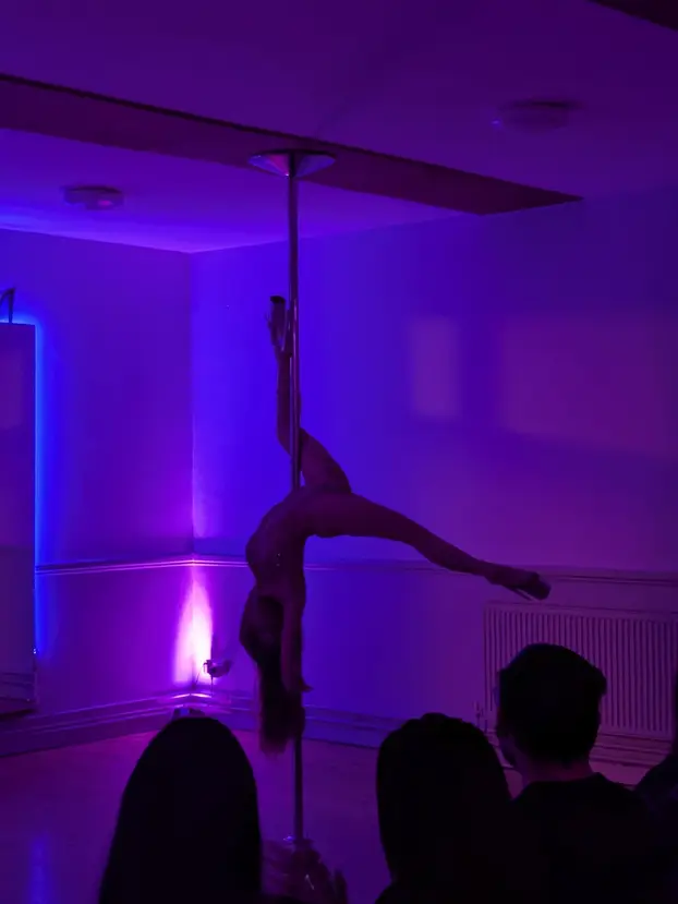 FOTO Ona je najbolja irska pole dance plesačica: Pogledajte što sve može sa svojim tijelom...