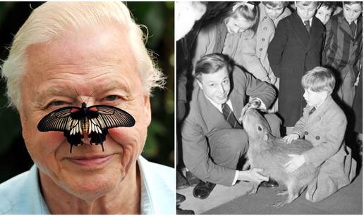 David Attenborough se vraća na male ekrane u 98. godini: Nisu me htjeli zbog prevelikih zuba