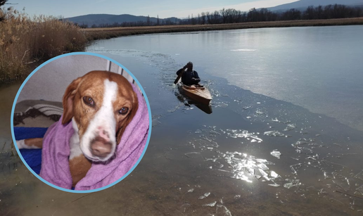 Pas Brinja propao kroz zaleđeno jezero, spašavali ga sat i pol