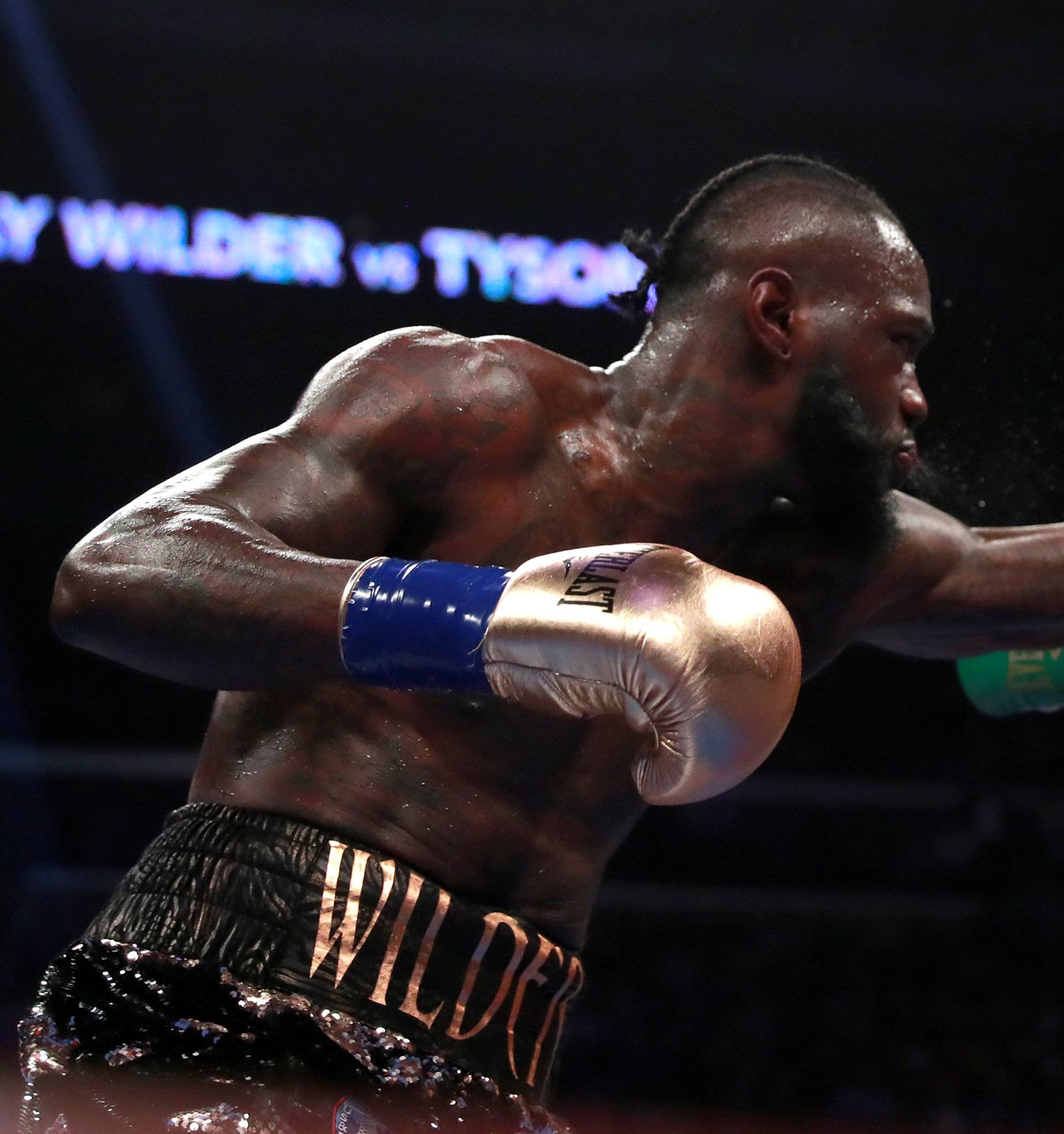 Deontay Wilder v Tyson Fury - WBC World Heavyweight Title