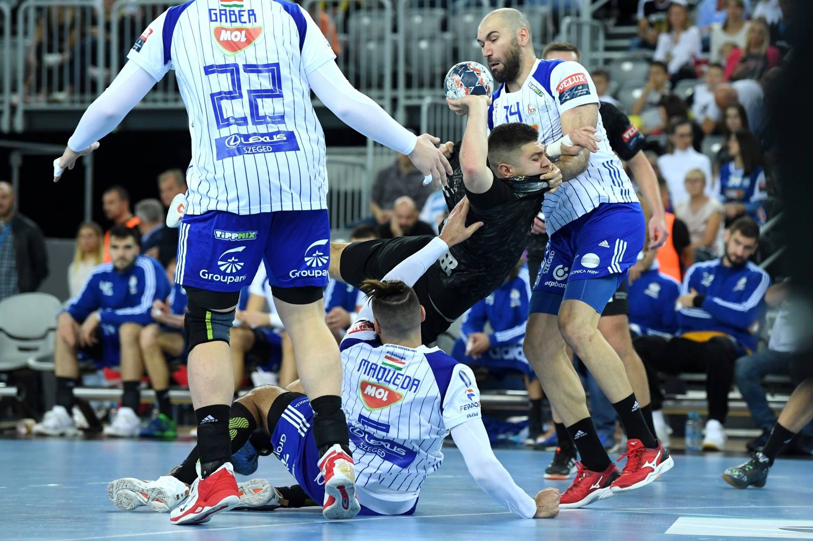 Zagreb: VELUX EHF Liga prvaka, RK PPD Zagreb - SC MOL-Pick Szeged