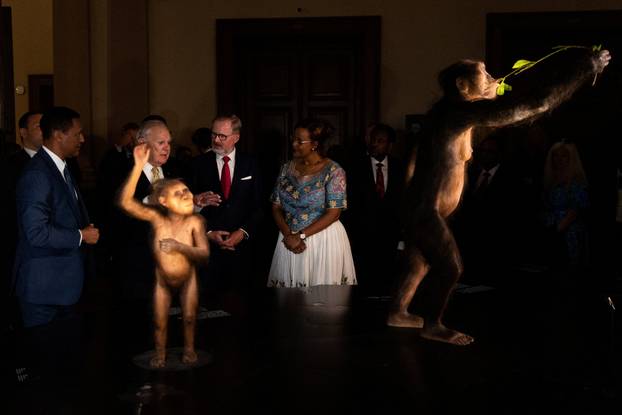 Original skeleton of one of the oldest human ancestors is displayed at National Museum in Prague