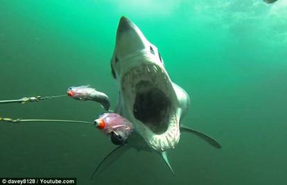 Zastrašujuće: Kamera snimila morskog psa kako ju napada 