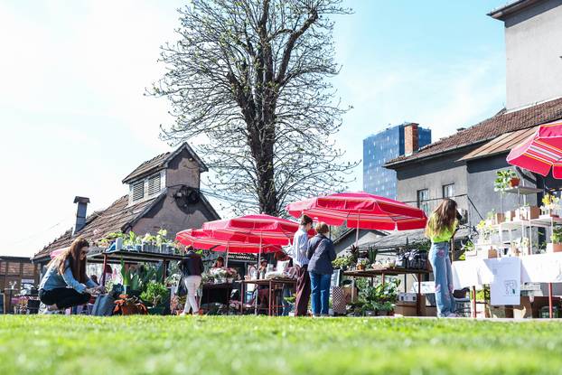 Zagreb: Izložba biljaka Plant market