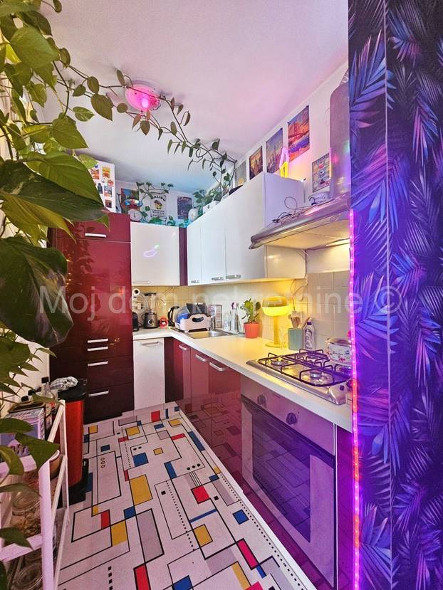 FOTO Prodaje se 'egzotični' stan u Zagrebu. Flamingosi, palme i disco u 36m2! Cijena mu je hit...