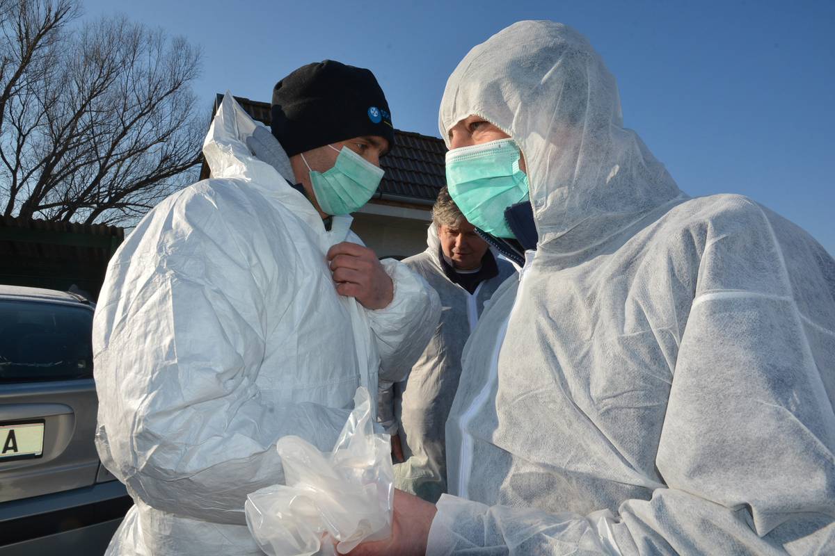 Virus H5N8 prešao na čovjeka, bit će opasno ako se udomaći