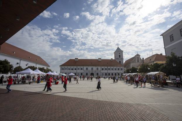 Osijek: Humanitarna utrka "Pretrči 5 za Pokret"