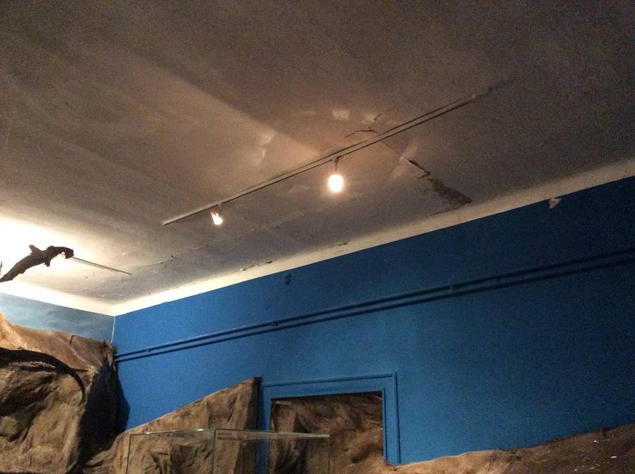 Hrvatski prirodoslovni muzej teško je stradao u potresu