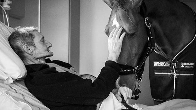 Ovaj konj ulazi u bolnice i tješi pacijente koji će ubrzo umrijeti