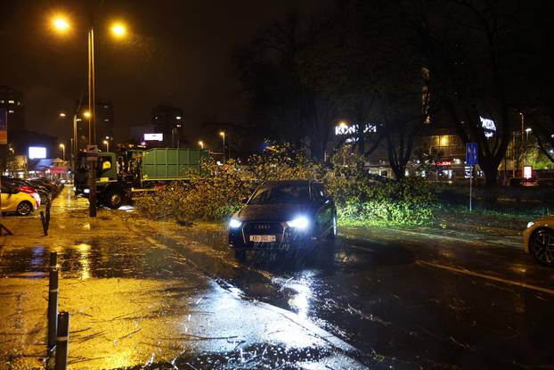 Zagreb: Promet kod Trešnjevačkog placa obustavljen nakon pada stabla